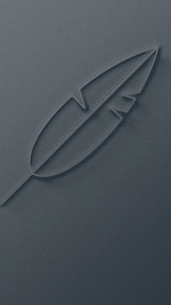 Relief einer Feder auf dunkelgrauem Hintergrund