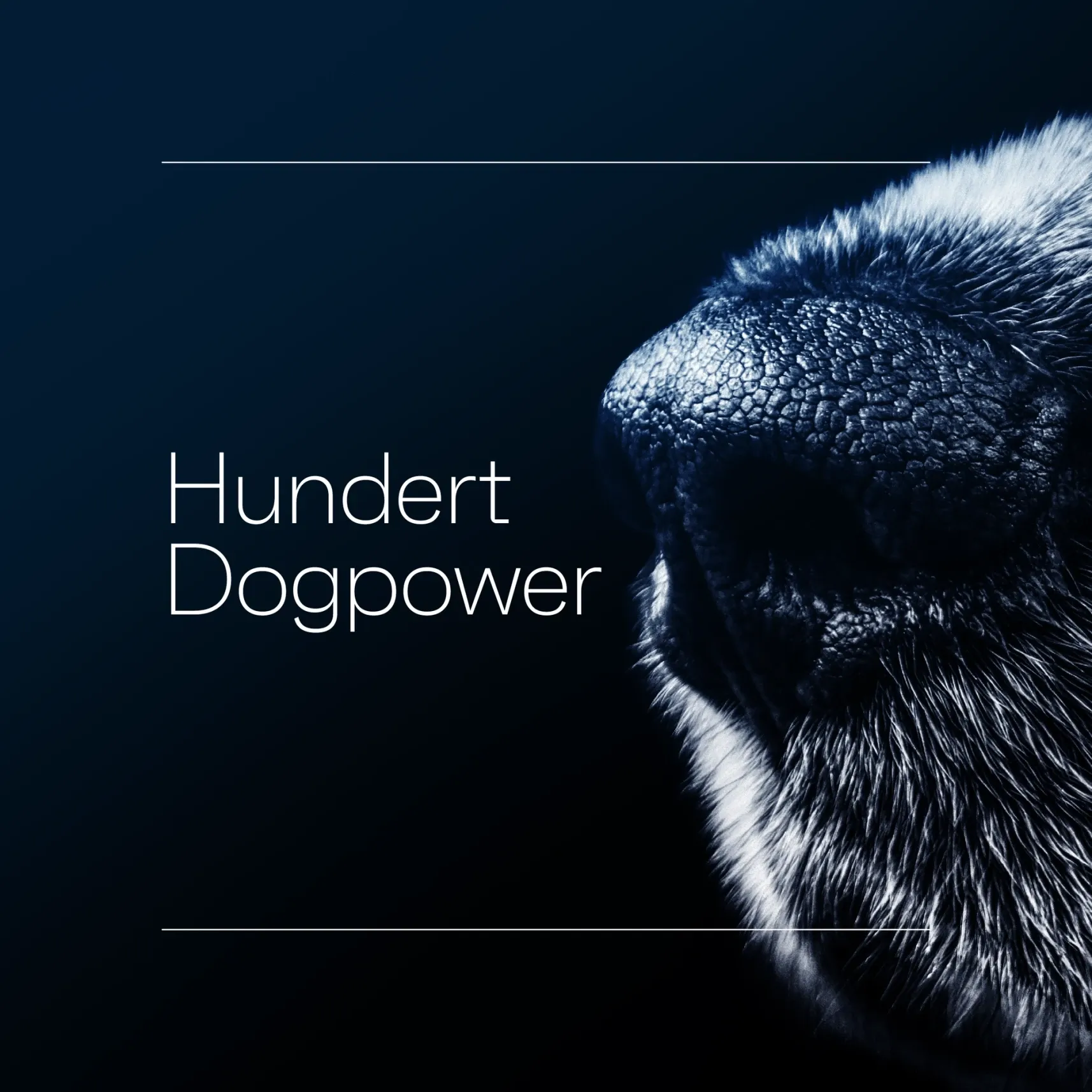Nahaufnahme einer Hundenase in dunklen Blautönen mit dem Schriftzug 'Hundert Dogpower'