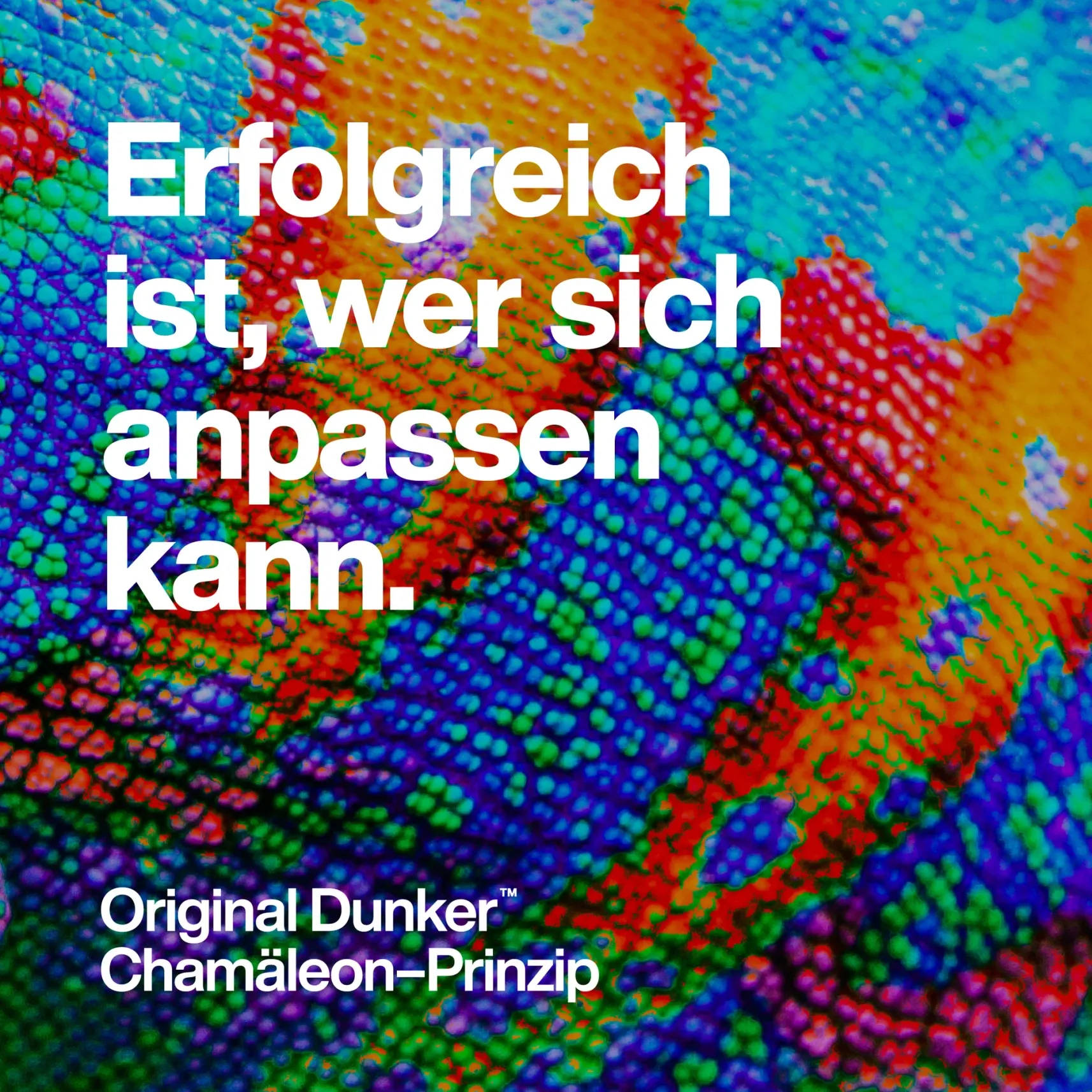 Farbige Nahaufnahme von Chamäleon-Schuppen mit dem Text 'Erfolgreich ist, wer sich anpassen kann'