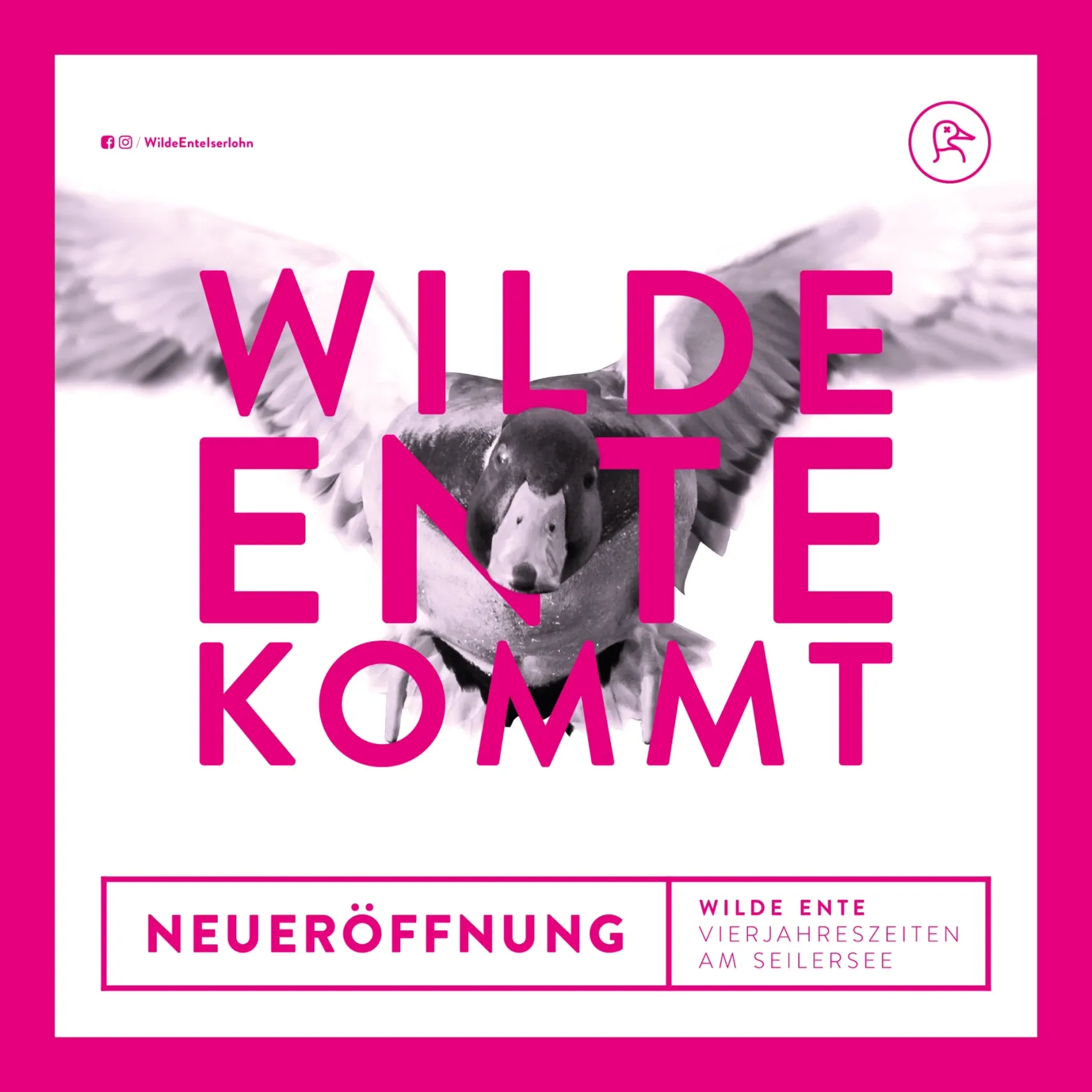 Werbegrafik mit fliegender Ente und Text 'WILDE ENTE KOMMT' zur Neueröffnung am Seilersee