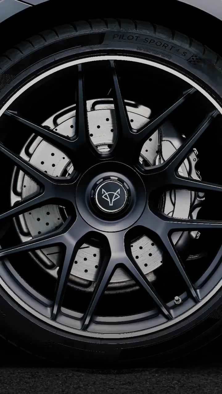 Nahaufnahme einer schwarzen Mehrspeichenfelge mit gelochter Bremsscheibe